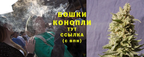 трава Горнозаводск