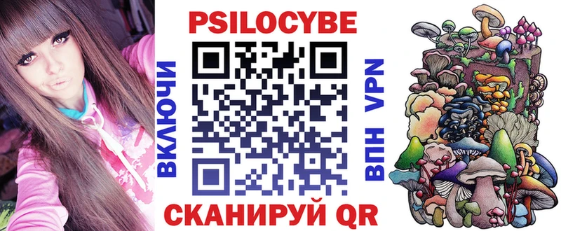 Купить  Карачаевск  Галлюциногенные грибы Psilocybine cubensis 